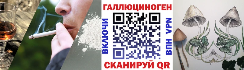 Купить  Пересвет  Псилоцибиновые грибы MAGIC MUSHROOMS 